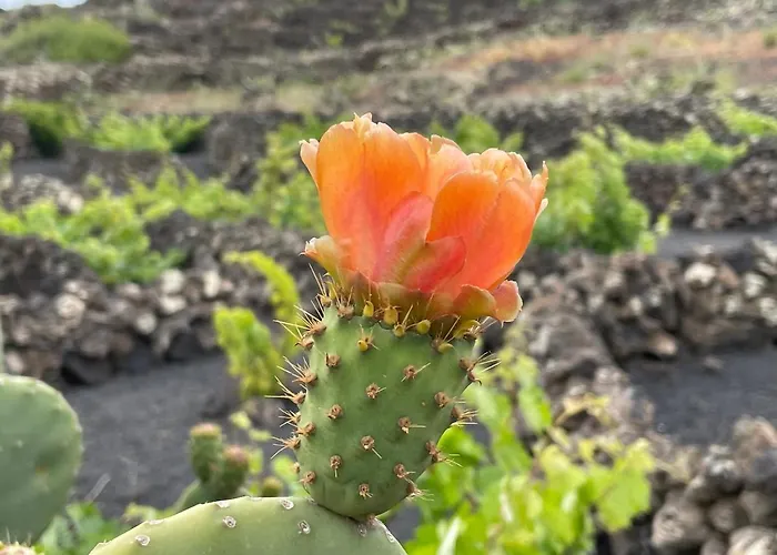 Casa Sol Azul * بْوُرتو كاليرو